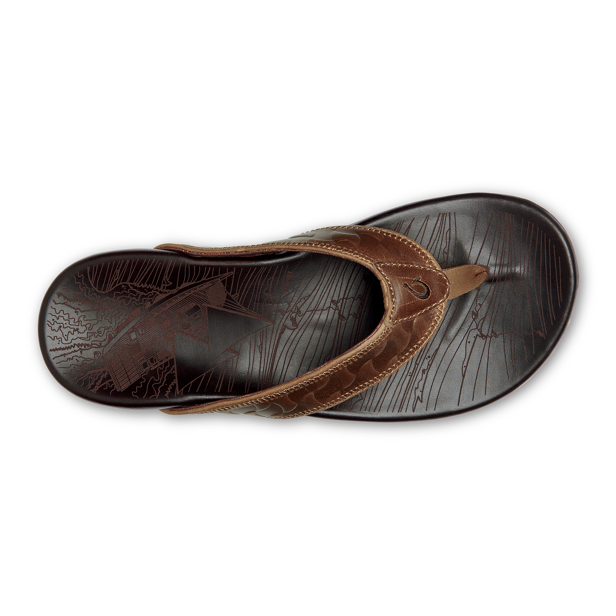 Hikianalia - Tan / Dark Java - Image 9