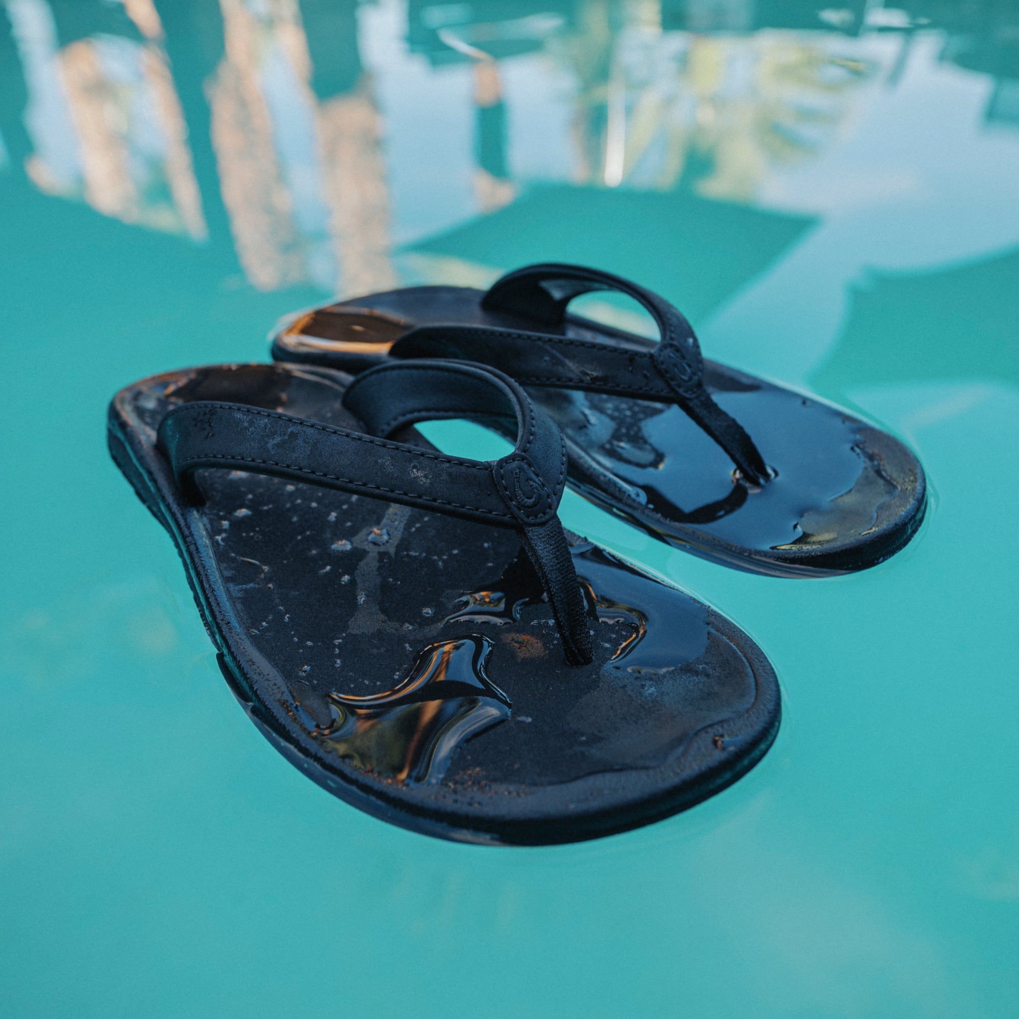 ʻOhana Lahi - Black / Black - Image 5